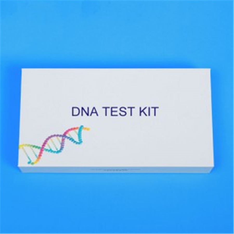Self Collection DNA Test Kit User Friendly DNA ...