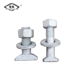 China Gold Supplier for Hex Head Carriage Bolt - Square Head Bolt Square Head Fasteners Connecting T Slot Bolt 8.8  T-Head Bolt Screw – Changlan