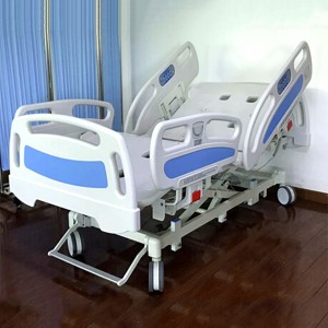 OEM manufacturer Geriatric Beds - 3 – FUNCTION ELECTRICAL BED Model: DZ3995 –