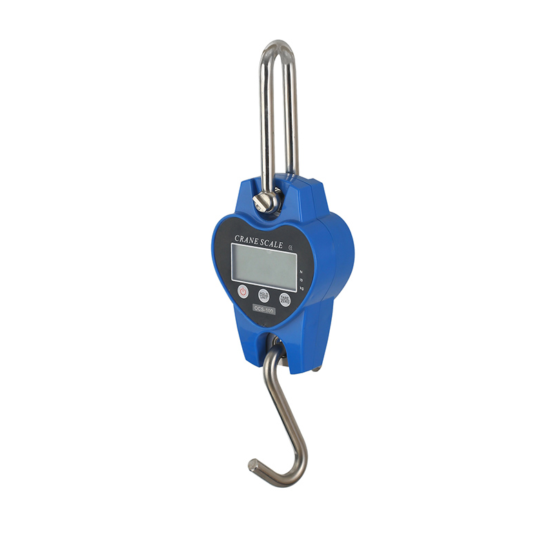 Europe style for Weighing Controller - D01 Mini-type Hanging Scale with Bluetooth Connectivity – Heavye