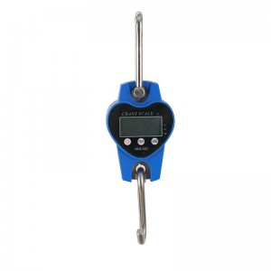 Europe style for Weighing Controller - D01 Mini-type Hanging Scale with Bluetooth Connectivity – Heavye