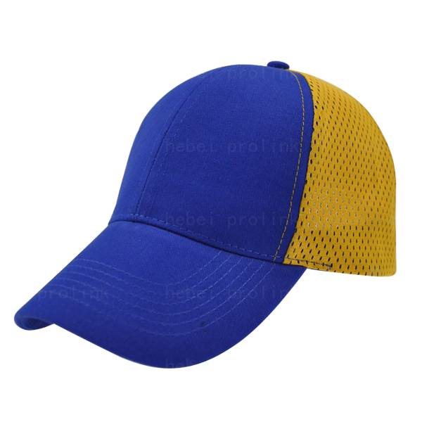 Popular Design for Foam Mesh Cap - 060005 :mesh baseball caps – Prolink