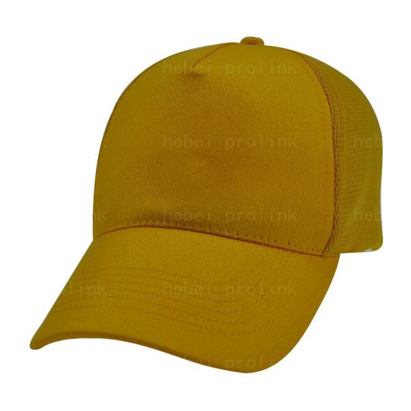 Chinese wholesale Hair Band - 416: polyester cap,canvas cap – Prolink