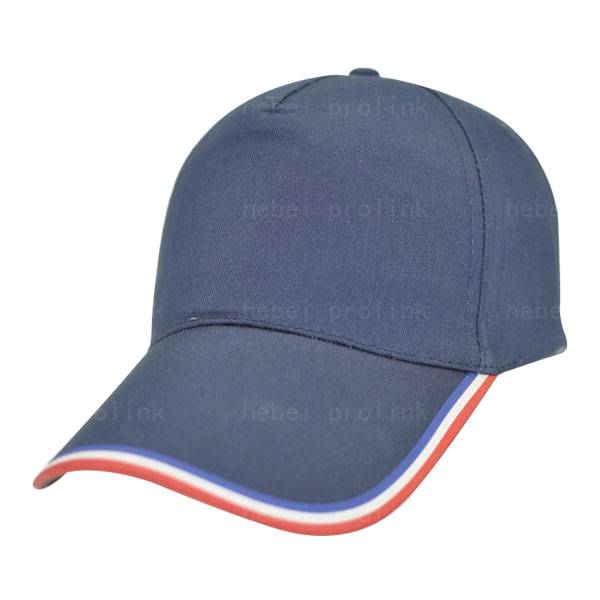 China Factory for High Quality Pillow With Zipper - 450 : promotion cap,baseball cap – Prolink