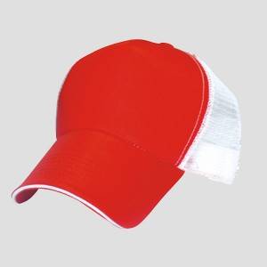 Manufacturer of Waterproof Jacket - 4401: mesh cap,sandwich cap – Prolink