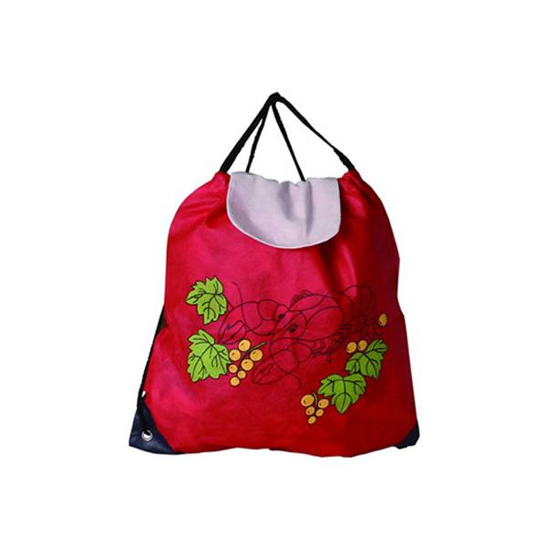 Wholesale China Canvas Storage Basket Factories Pricelist –  B0077: non woven bag, drawstring bag – Prolink