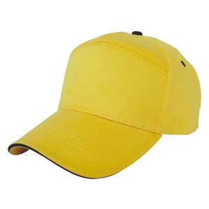 Manufacturer for Polyester Basket – 7001: 7 Panels Cap，promotional cap,cotton cap – Prolink