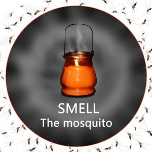 Citronella Candle-3 summer outdoor use citronella scent mosquito dislike hanging jar candle