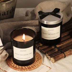 Sea Salt & Sage Scented Candles for Home Scented Long Lasting Soy Aromatherapy Candles