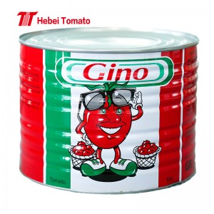 Fresh Tomato Paste Canned Tomato Ketchup with Factory Supplier in China