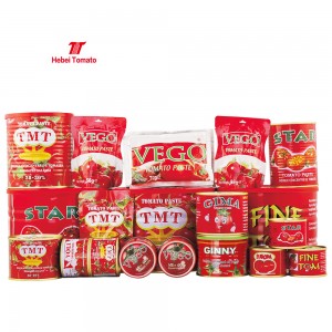 Customized OEM Brand Cheap Price High Quality Brix 28-30% Double Concentrated 210g Canned Tomato Paste with ISO Certificate