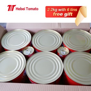 Wholesale Africa Good Canned Everyday Necessary Tomato Ketchup Factory Price Hard Ppen 2200g Tin Packing Tomato Paste