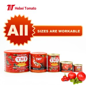 Best price tomato paste from popular factory