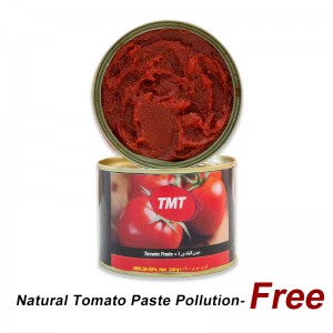 Fresh Red Color High Quality Double Concentrated 70g Canned Tomato Paste From China