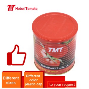 pstHigh Quality 400g*24tins/ctn Tin Packing Tomato Paste with Best Price Little Sour Flavor Organic Tomato  Paste