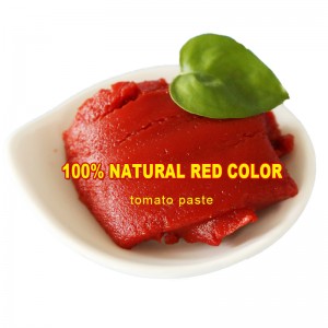 340g Tomato Ketchup Canned Tomato Paste From Factory Supplier