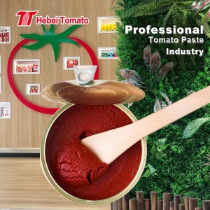 Tomato Paste China Factory Maker Different Sizes of Tin Tomatoes Paste