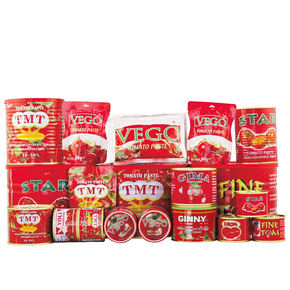 China tomatoes factory Canned tomato paste