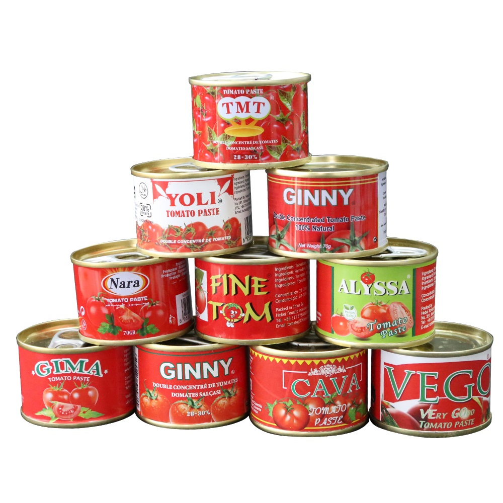 China supplier OEM brand canned tomato paste 70g