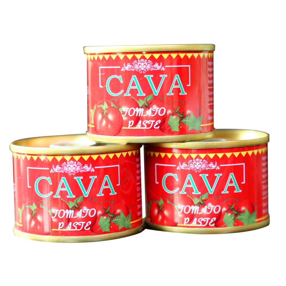 Canned tomato paste with higher quality and better price fro export to Africa