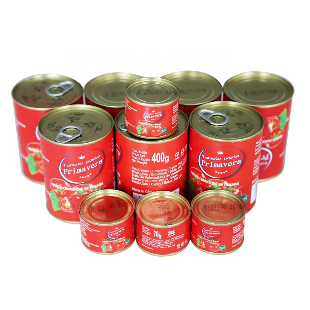 400g canned tomato paste