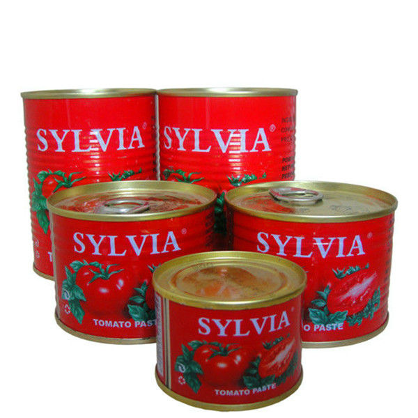 best quality and cheap price of 70g Italy tomato paste