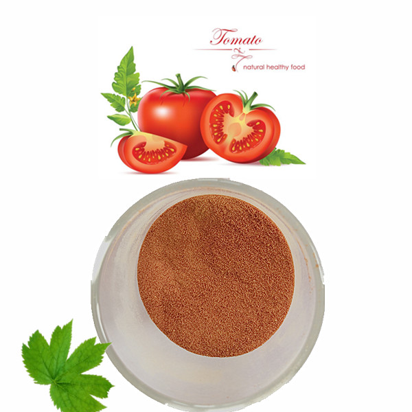 organic bulk 100% pure natural extract lycopene tomato powder