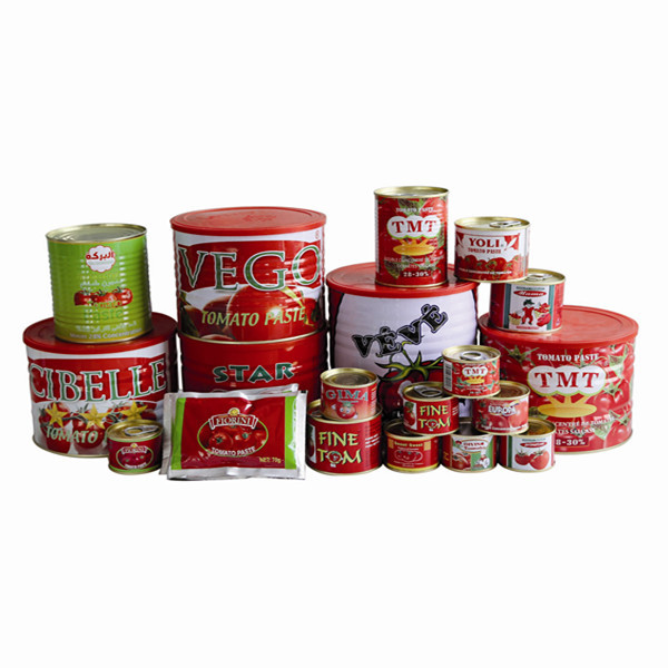 Canned Tomato Paste from China Direct Factory, Competitive Price and Size from 70g to 850g