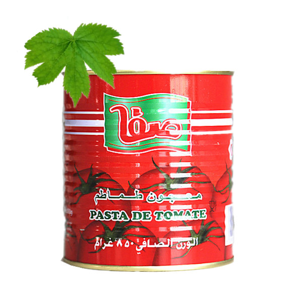 double concentrated safatomato paste canned 800g