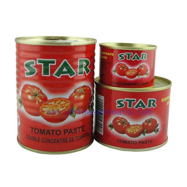 Canned Tomato Paste with various of specifications
