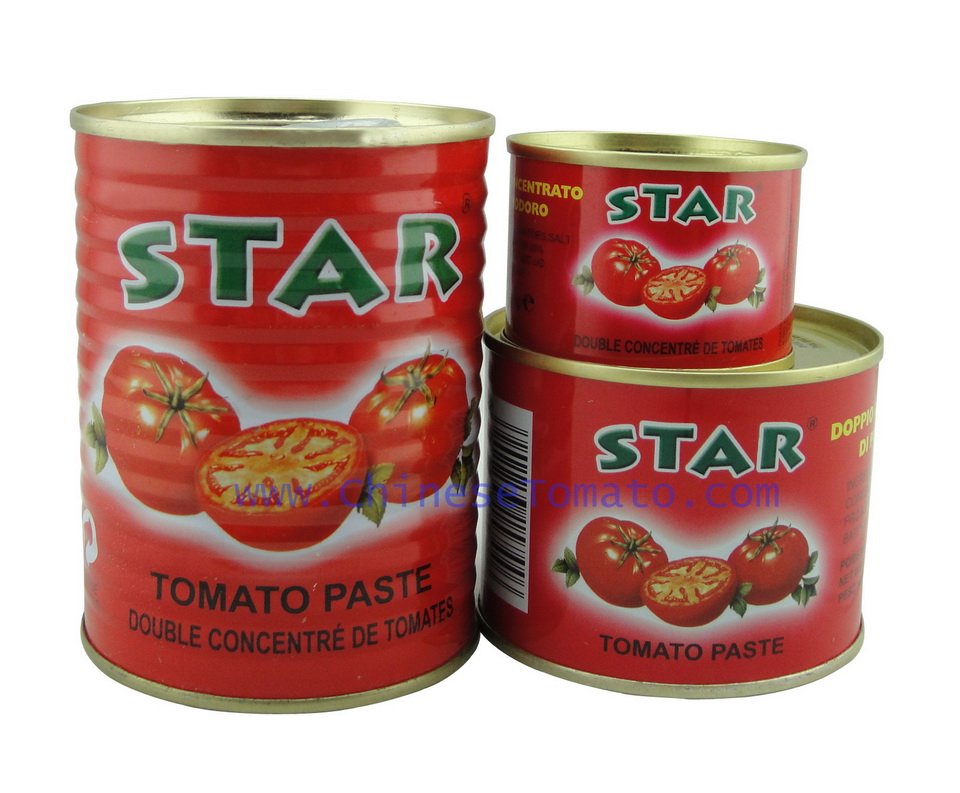 High Quality Gino Tomato Paste in Lithography Tin