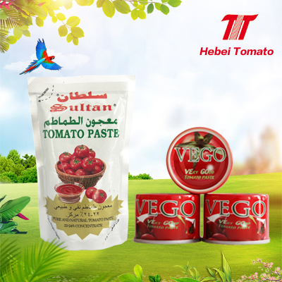 Produce all size tomato paste factory