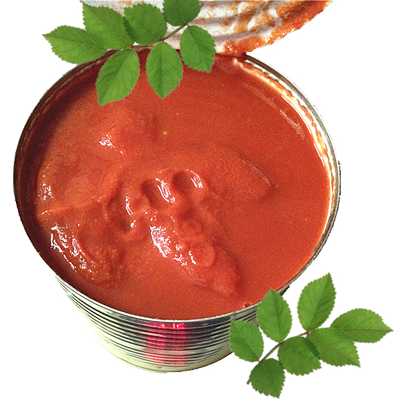 best price italian tomato peeled canned