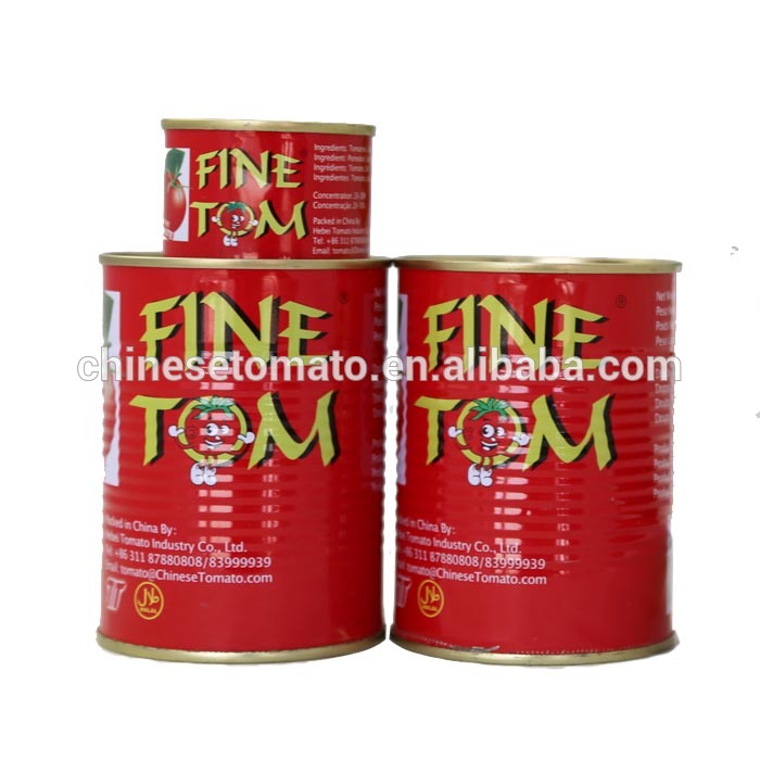 processing tomato paste with low price per ton
