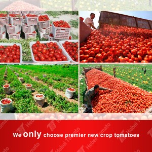 wholesale price of tomato ketchup 70g Flat Colorful Sachet Tomato Paste with customer’s own brand on it
