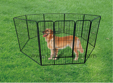 Welded wire dog kennel