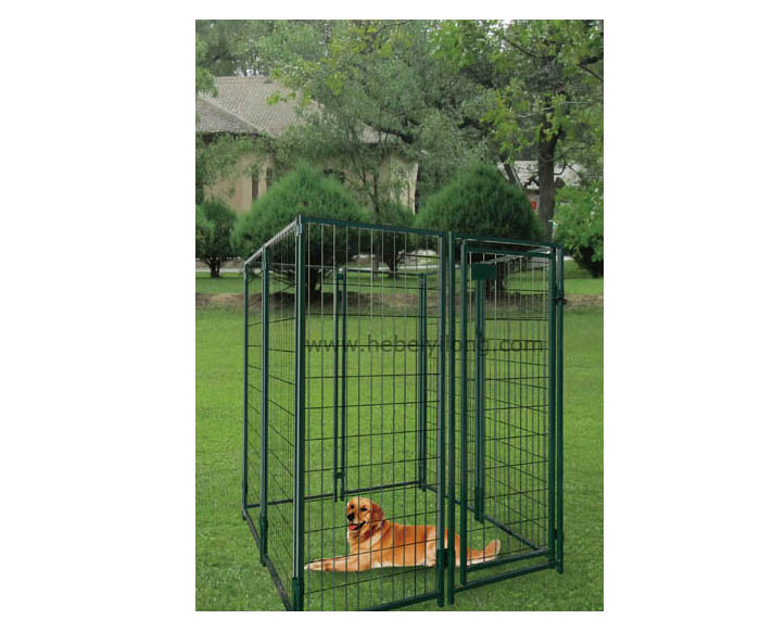 Welded wire fence dog kennel