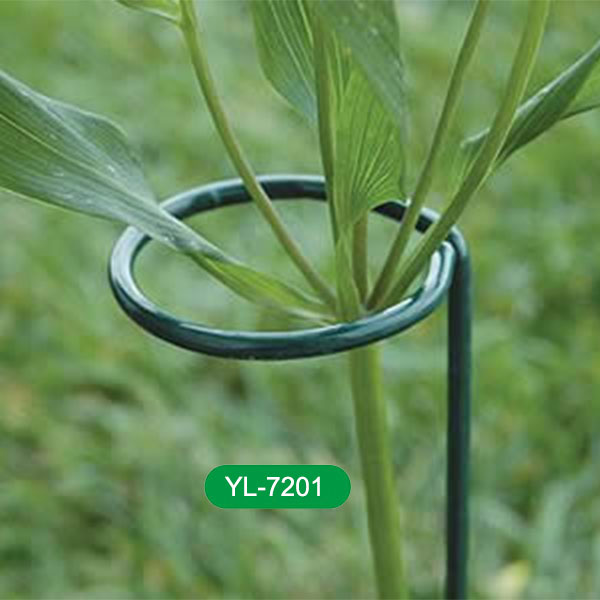 circle cradle plant support