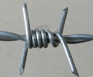 Renewable Design for Pvc Fencing Wire - Barbed wire – NEWEAST YILONG
