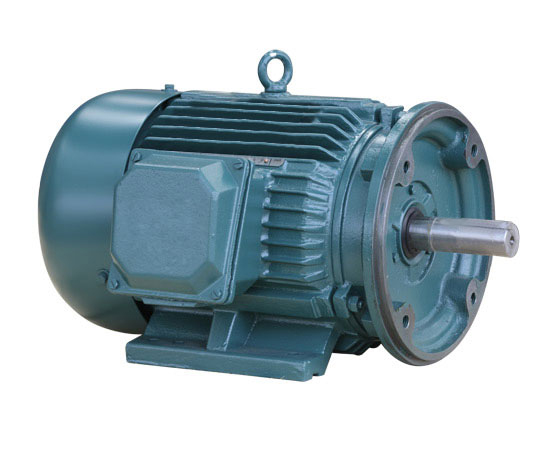 Fixed Competitive Price Ip55 Electric Motor - General Purpose NEMA Motors – Electric Motor detail pictures
