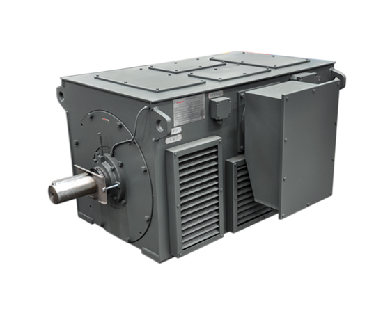 Manufacturing Companies for Mv Squirrel Cage Induction Motor - Medium/High Voltage Motors – Electric Motor detail pictures