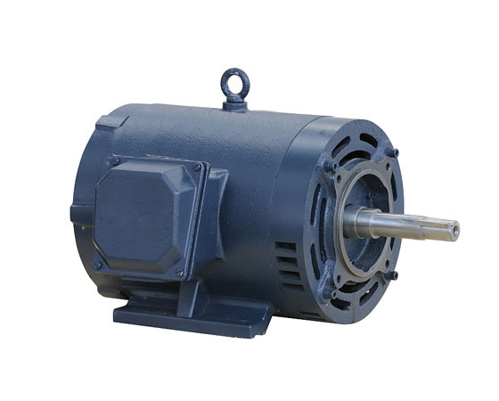 Personlized Products 575v Electric Motor For Reducer - General Purpose NEMA Motors – Electric Motor detail pictures