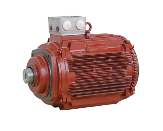 2019 China New Design Ul Squirrel Cage Electric Motor - Reducer Motors – Electric Motor