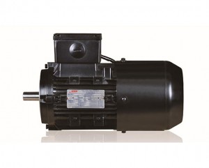 Professional Design Ie3 Asynchronous Induction Electric Motor - Brake Motors – Electric Motor