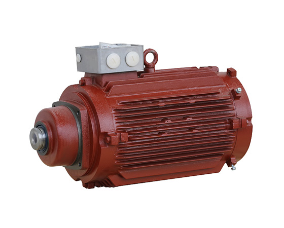 Cheap price Ie2 Motor With Brake - Reducer Motors – Electric Motor