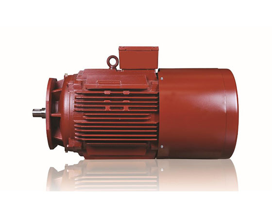 factory low price Ip54 Air Compressor Electric Motor - Roller Table Motors – Electric Motor detail pictures