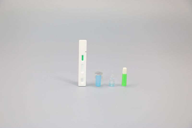 Good User Reputation for Covid 19 Test At Home Kit - 2019-nCoV S-RBD Neutralizing Antibody Test Kit (colloidal gold method) – Hecin