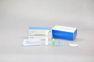 2019-nCoV S-RBD Neutralizing Antibody Test Kit (colloidal gold method)