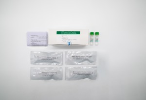 MP Nucleic Acid Test Kit  (PCR- fluorescence probe method)