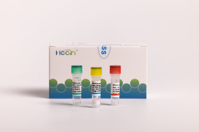 Factory Supply Covid-19 Antigen Rapid Test Kit - 2019-nCoV Nucleic Acid Test Kit (PCR- fluorescence probe method) – Hecin